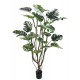 PLANTA MONSTERA C-VASO H210 BIZZOTTO 0173039